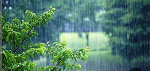 بارش باران از امروز در این استان ها