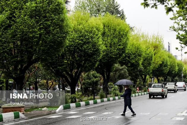 بارش باران از امروز در بعضی از استانهای کشور