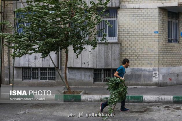 وزش باد شدید در جنوب و غرب تهران