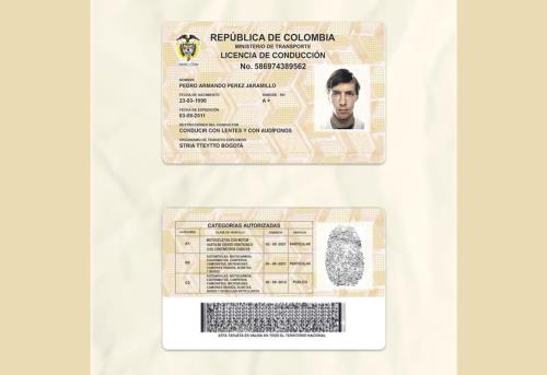 Unveiling the World of High-Quality Fake Documents with Fake-Sample